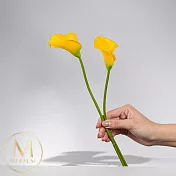【Floral M】氣質仙女黃色海芋仿真花花材 （5入組）