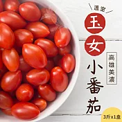 【禾鴻】高雄美濃溫室玉女小番茄3斤x1盒
