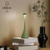 【義大利UBIQUA】Pinup 摩登曲線風USB充電式檯燈(大款)- 薄荷綠