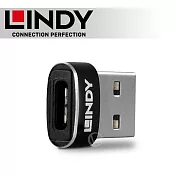 LINDY 林帝 USB 2.0 Type-A/公 to Type-C/母 轉接頭 (41884) 兩入