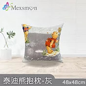 【Mexsmon 美思夢】泰迪熊抱枕-藍色/灰色/綠色/粉色 2個(48cmX48cm/個) 灰色