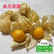 預購【果氏果園】彰化日本品種鮮採黃金莓x20盒(約150~155g/盒_約13~16顆/盒_燈籠果_產地直送)