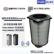 適用Electrolux伊萊克斯Pure A9空氣清淨機高款PA91-606GY PA91-606DG替換用HEPA濾網