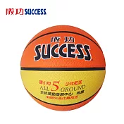 成功 國小專用 深溝少年籃球 S1150(附球網、球針)