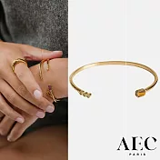AEC PARIS 巴黎品牌 白鑽虎眼石手環 可調式簡約金手環 BANGLE NARIA