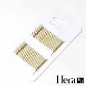 【Hera赫拉】韓國網紅款一字夾髮夾-36根一卡-2色 金色