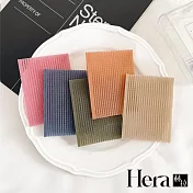 【Hera赫拉】夏季無痕瀏海貼片10入組 H112030703 A混色10入裝