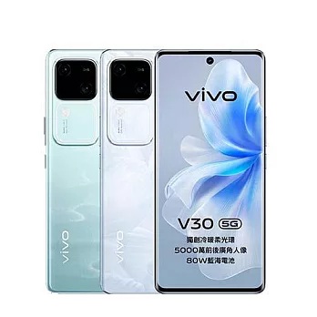 vivo V30 (12G/512G)雙卡5G美拍機※送支架+內附保護殼※ 花似錦