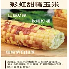 【炳叔烤玉米】水煮玉米(200g/支)