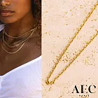 AEC PARIS 巴黎品牌 迷你切割細鍊 簡約金色項鍊 CHAIN NECKLACE DUBE