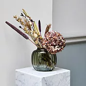 Holmegaard Primula 櫻花草 玻璃花瓶 （橢圓、大、煙灰）
