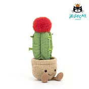 英國 JELLYCAT 21cm 月亮仙人掌/ 瑞雲仙人球 Amuseable Moon Cactus