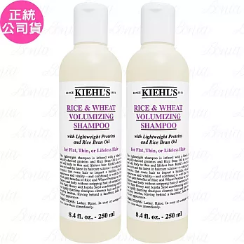 Kiehl’s 契爾氏 米麥蛋白豐盈洗髮精(250ml)*2(公司貨)