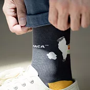 【LEEDS WEATHER】Alpaca Dumb - 羊駝狂想曲 ∣抑菌除臭、台灣製∣中筒襪 23 - 28 cm