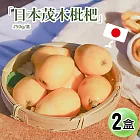 【優鮮配】初夏的味蕾-空運日本長崎縣溫室茂木枇杷2盒(250g/盒/6-8顆)免運