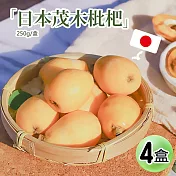 【優鮮配】初夏的味蕾-空運日本長崎縣溫室茂木枇杷4盒(250g/盒/6-8顆)免運