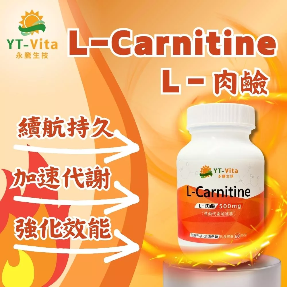 【YT-Vita 永騰生技】L-肉鹼 (60粒/瓶) 肉酸 卡尼丁 L-carnitine 左旋肉鹼 左旋肉酸 現貨